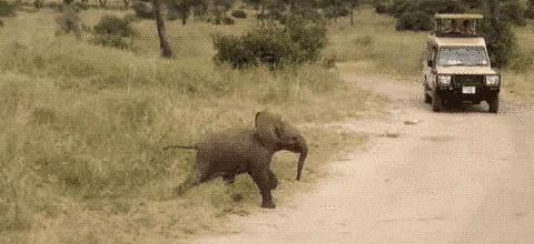 Veramesi Bye GIF