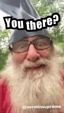 Vermin Supreme Are You There GIF