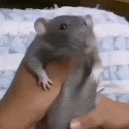 Vermintide Skaven GIF