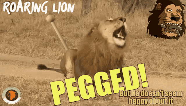Vertek Defi Roaring Lion Defi GIF