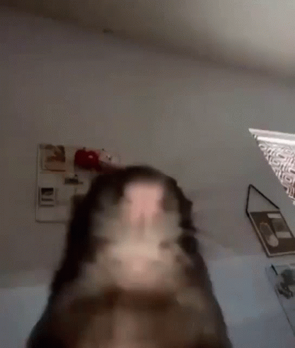Very Fast Rat Rat GIF