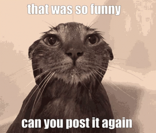 Very Funny GIF. This 498 x 426 animated GIF is part of our lustiger dienstag collection. Created by gifguylikesgifs. View the original animation, share it…