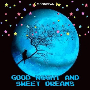 Very Good Night GIF