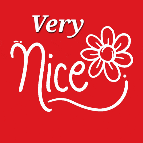 Very Nice Compliment GIF