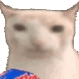 Verycat Cat Eating Chips Sticker