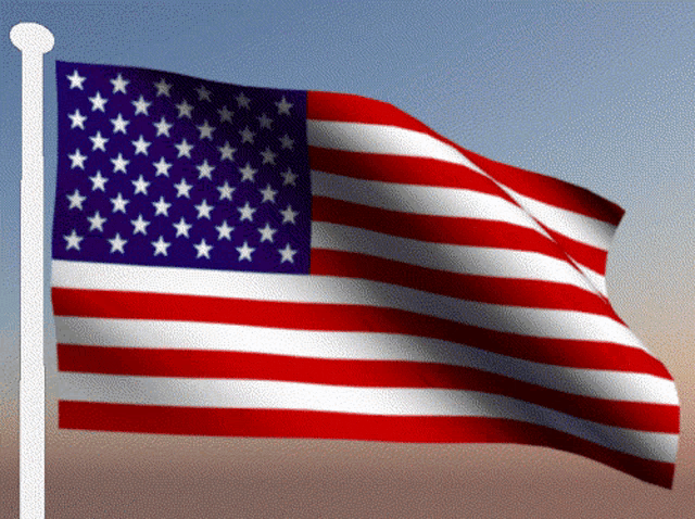 Veterans Day America GIF