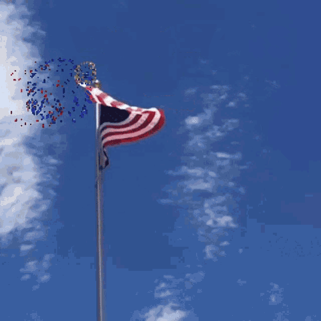 Veterans Day Honoring GIF