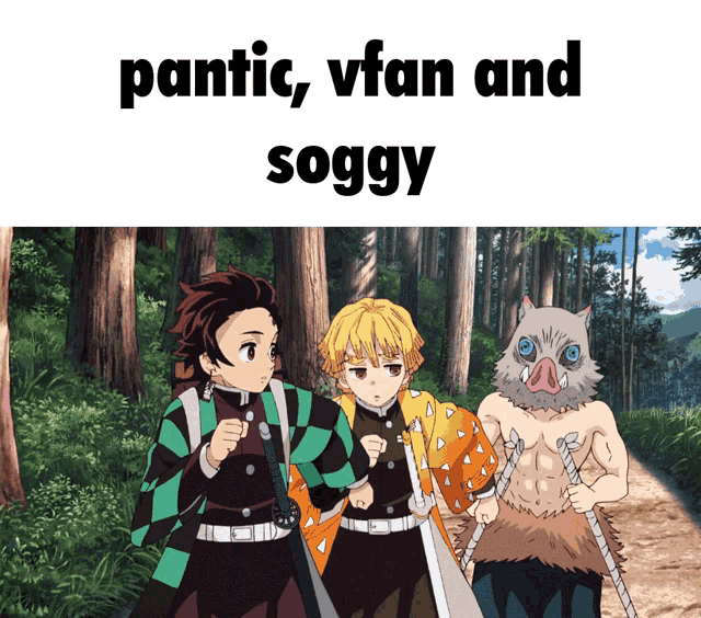 Vfan Vfant GIF