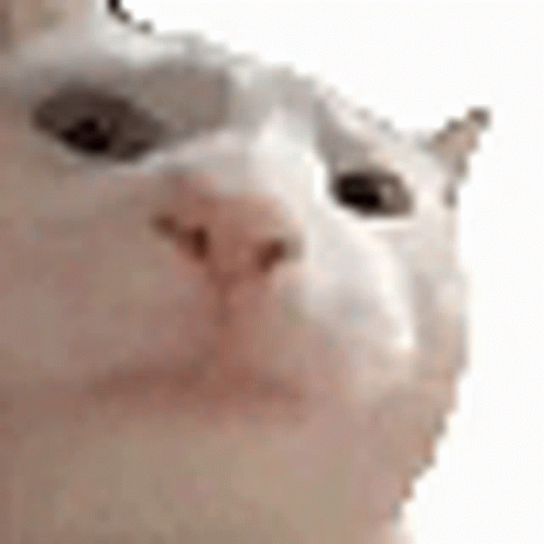 Vibe Cat Discord GIF