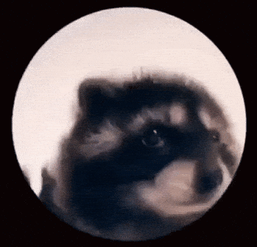 Vibing Hustle And Flow GIF