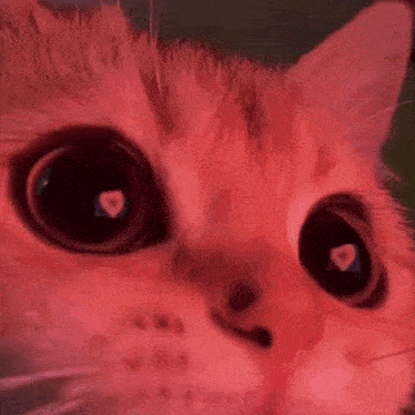 Vikasskorbinka GIF