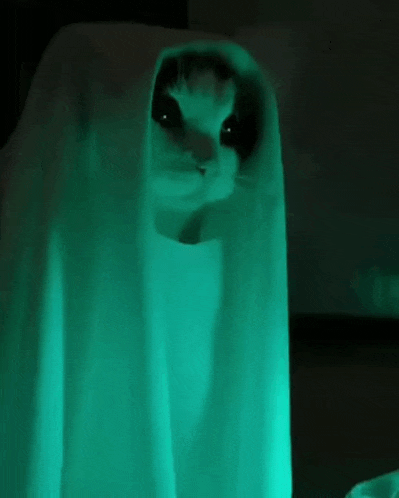 Vikasskorbinka Vikasskorbinka Vikasskorbinka GIF