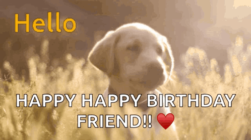 Viking Flok Labrador GIF. This 498 x 279 animated GIF is part of our happy birthday puppy collection. Related themes include hello, hello there. Created by…