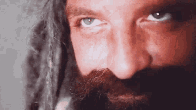 Vincent Marseglia GIF