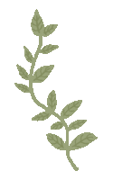Vines Aes Sticker
