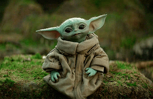 Vingrogu GIF