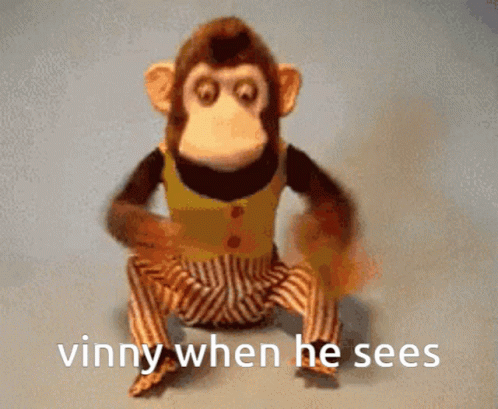 Vinny Monkey GIF