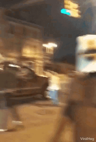Viralhog Bald Eagle Mask GIF