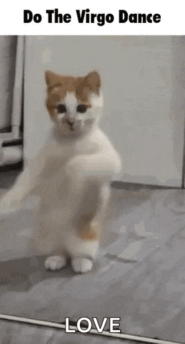 Virgo Dance Florence Winters GIF