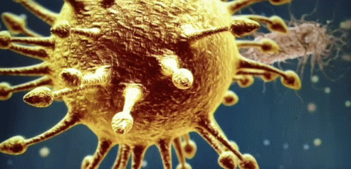 Virus Bacteria GIF