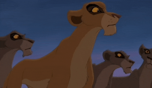 Vitani Lion King 2 GIF