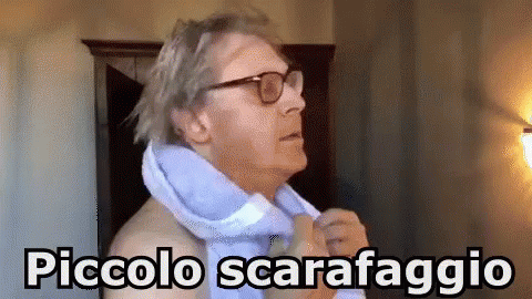 Vittorio Sgarbi Piccolo Scarafaggio Ignorante Stupido GIF. This 480 x 270 animated GIF is part of our sgarbi collection. Related themes include stupid. View…