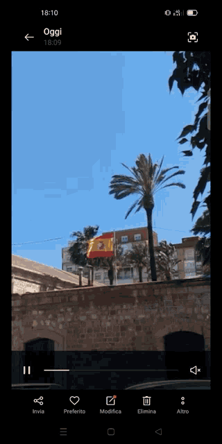 Viva Espana GIF