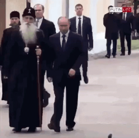 Vladimir Putin Pigeon GIF