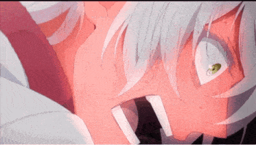 Vnc Vanitas GIF