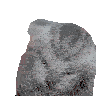 Voices Cat Sticker