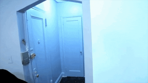 Voltaire Aurelio Voltaire GIF. This 480 x 270 animated GIF is part of our there there broom collection. Related themes include get out. Created by…