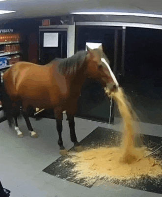 Vomit Horse Sand Meme