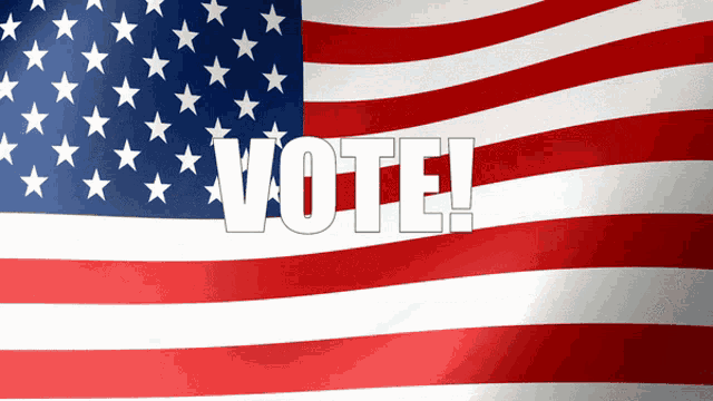 Vote Get Out And Vote GIF
