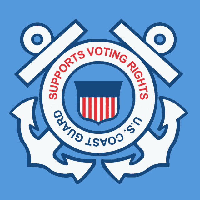 Voting Voter GIF