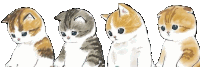 Waal Boyss Kucing Sticker
