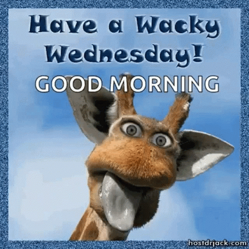 Wacky Wednesday GIF