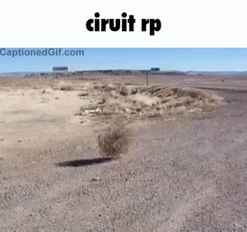 Waffloos Curcuit Roleplay GIF