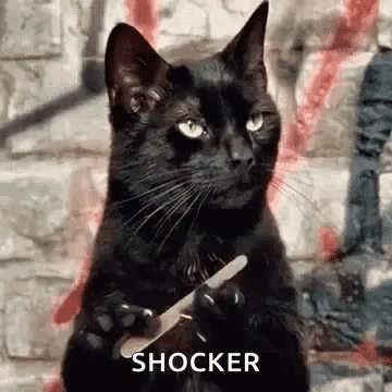Waiting Cat Filing Nail GIF. This 360 x 360 animated GIF is part of our surprised collection. Related themes include bring it on, waiting. Created by…