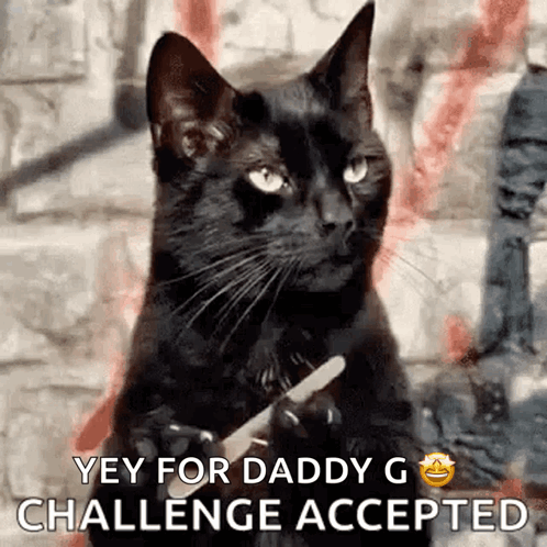 Waiting Cat Filing Nail GIF