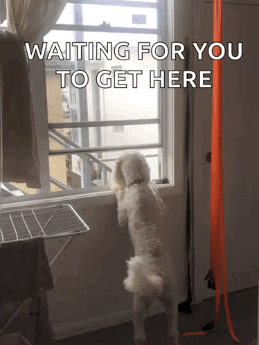 Waiting For You GIF