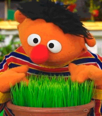 Waiting Grass GIF
