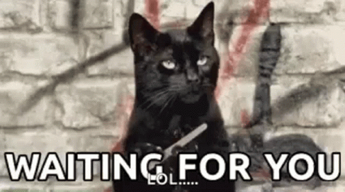 Waiting Waiting For You GIF. This 498 x 277 animated GIF is part of our jeopardy music collection. Related themes include waiting, waiting for you. Created…