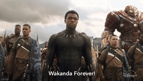 Wakanda Forever T'Challa GIF