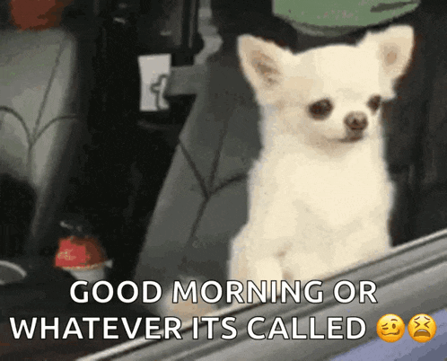Wake Up Arise GIF
