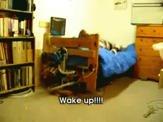Wake Up!! GIF