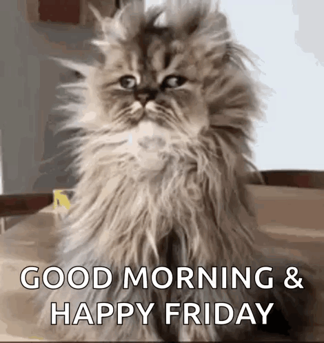 Wake Up Morning GIF