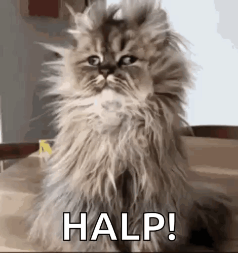 Wake Up Morning GIF