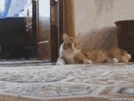 Walk Away GIF
