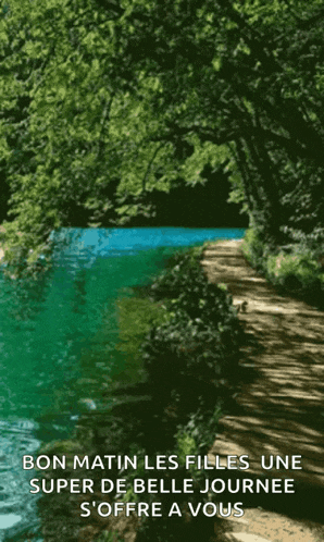 Walk By River Waterfall GIF