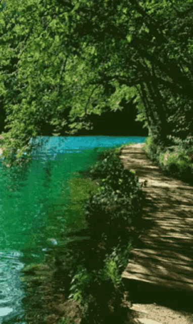 Walk By River Waterfall GIF